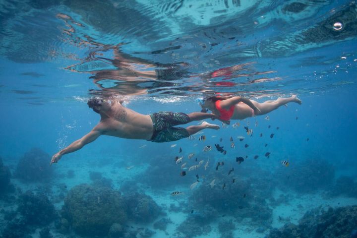 A couple doing a snorkeling tour in Bora Bora