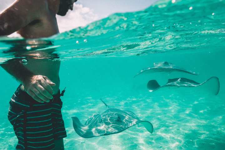 A man having fun with rays in Bora Bora