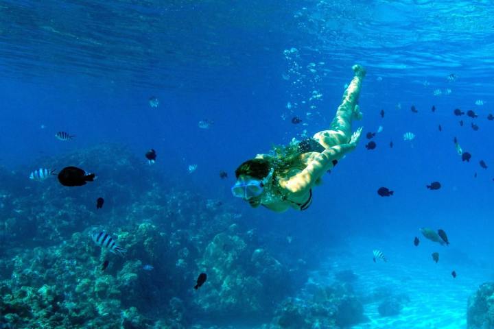 A woman doing a snorkeling tour in Bora Bora