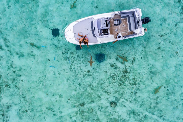 A couple watching sharks and rays during a private boat tour in Bora Bora