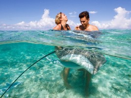 A couple having fun with rays during a boat tour in Bora Bora