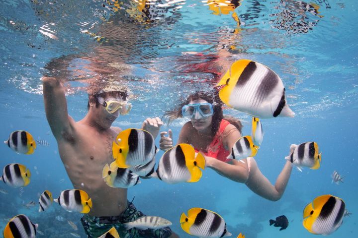 A couple doing a snorkeling tour in Bora Bora