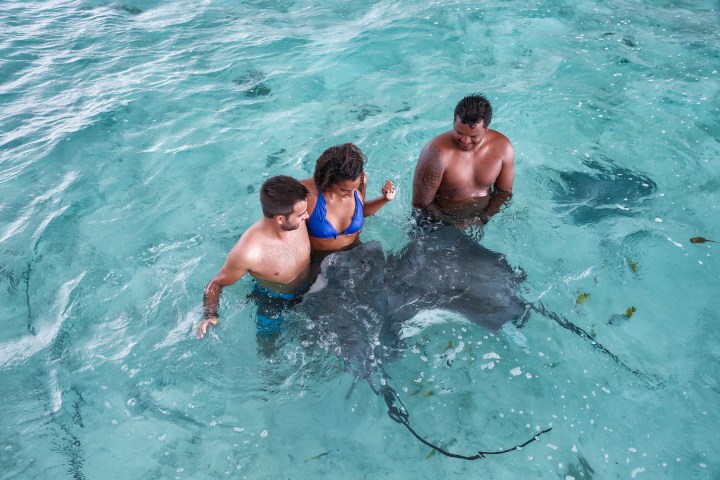 A couple having fun with rays during a boat tour in Bora Bora