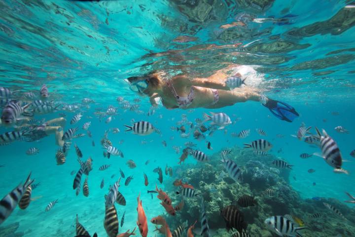A woman doing a snorkeling tour in Bora Bora