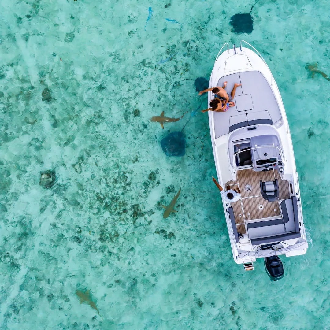 Aerial view of a boat on clear turquoise water with sharks visible below.